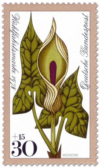 Stamp: Aronstab (Waldblume)